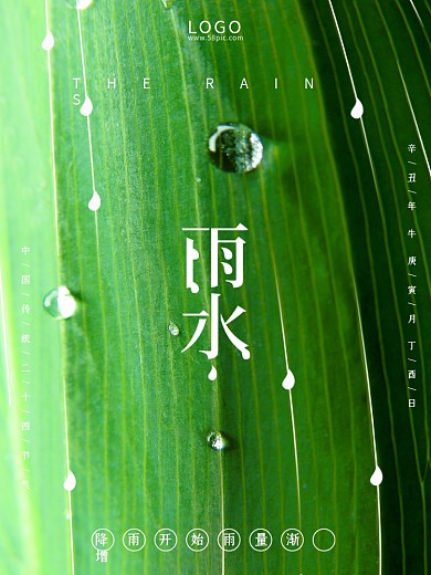 绿色简约立春绿叶水珠春分雨水24节气海报