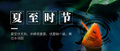 简约节气夏至新媒体配图