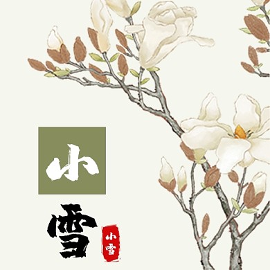 小雪玉兰花绿色简约公众号封面次图