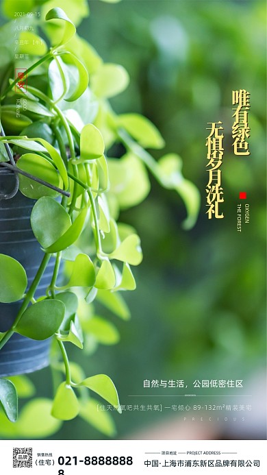 植物盆栽早安日签地产摄影图海报