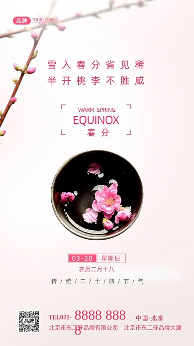 春分节气传统节气摄影图海报