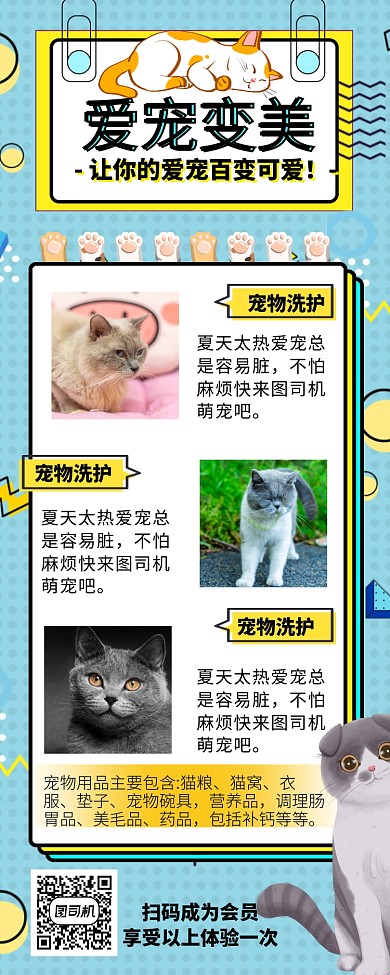 爱宠变美宠物美容宠物店长图海报