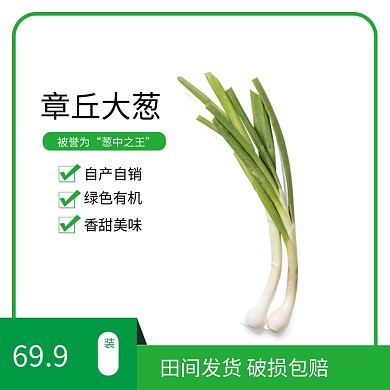 绿色简约大葱蔬菜生鲜农产品主图