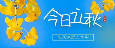 立秋节气秋天银杏叶实景公众号首图