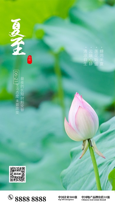 时尚简约荷塘夏至海报