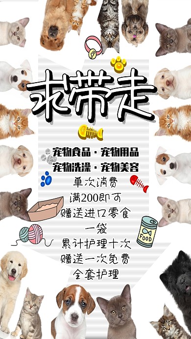 创意可爱宠物护理促销海报