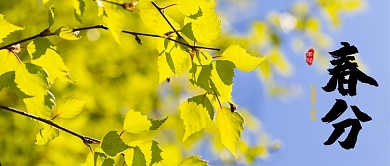 春分绿叶公众号首图