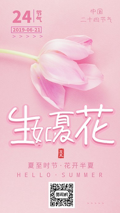 粉色生如夏花夏至海报