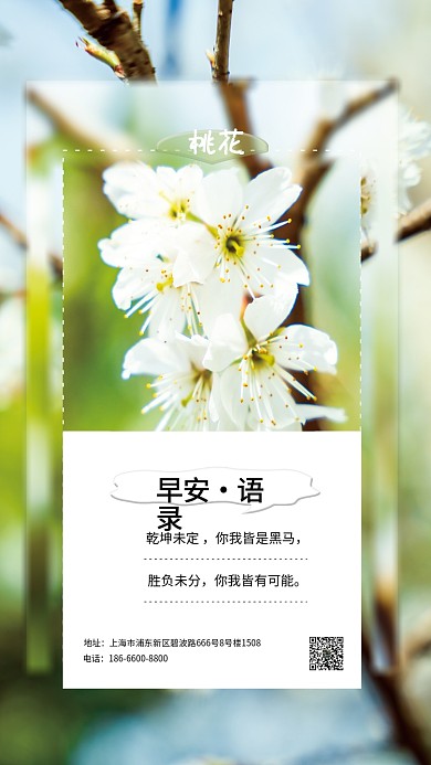 小清新简约情感语录早安海报