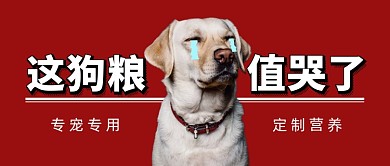 红色简约宠物狗粮公众号首图