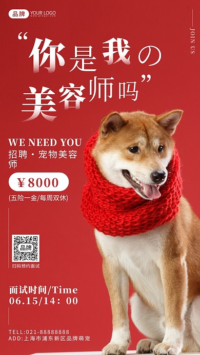 宠物美容师招聘可爱柴犬摄影图海报