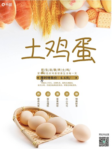 新鲜土鸡蛋销售海报