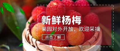 新鲜杨梅摄影图首图