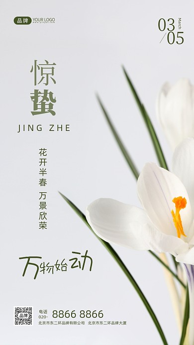 二十四节气节日宣传惊蛰传统节日摄影图手机海报