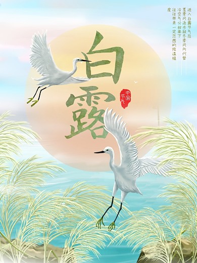 中国传统二十四节气白露创意海报