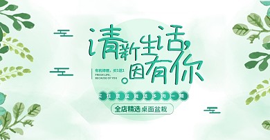清新手绘多肉盆栽叶子绿色文艺简约电商淘宝海报banner