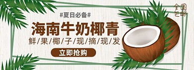 水果椰子淘宝电商banner图