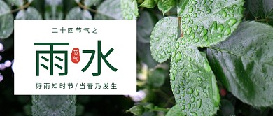 雨水绿叶雨水绿色简约风公众号首图