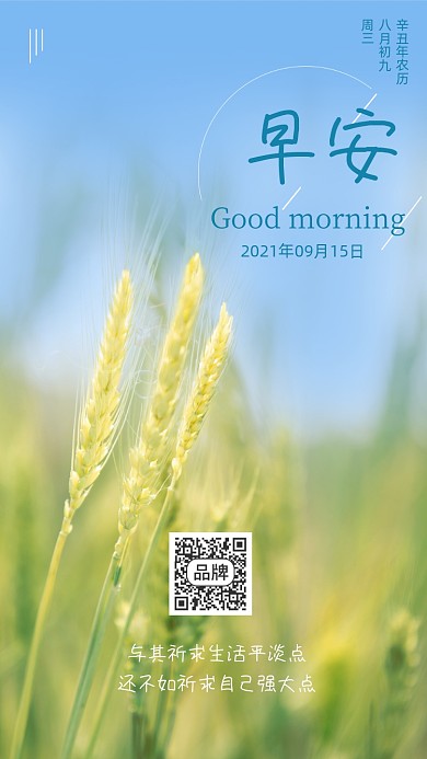 早安小麦简约摄影图海报