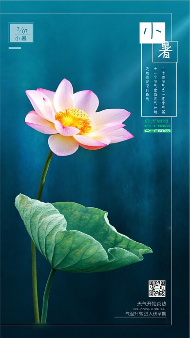 小清新小暑节气手机海报微信配图