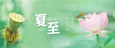 夏至节气荷花公众号首图
