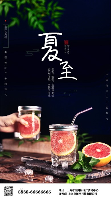 时尚简约摄影海报夏至