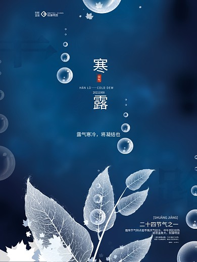 手绘蓝色寒露节气海报