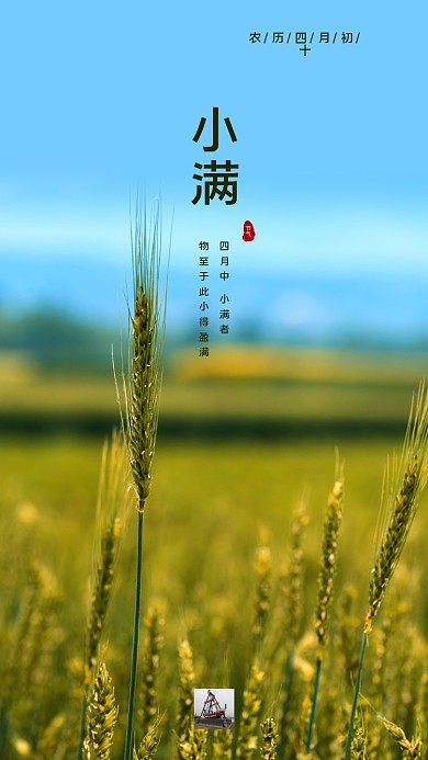 二十四节气简约摄影小满手机壁纸海报