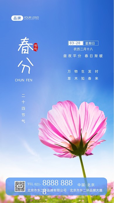 春分节气传统节气摄影图海报