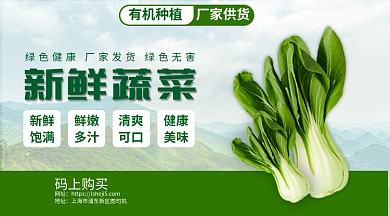 新鲜蔬菜宣传手机海报