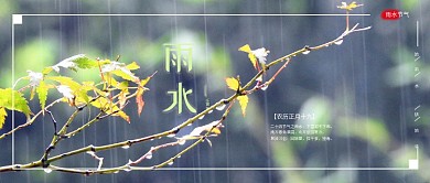雨水节气公众号封面