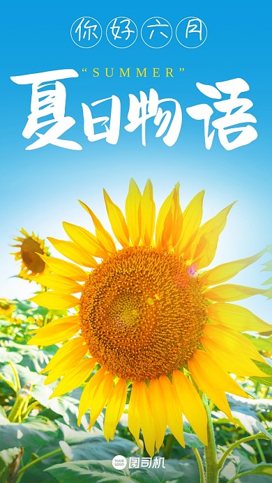 你好六月向日葵日签手机海报