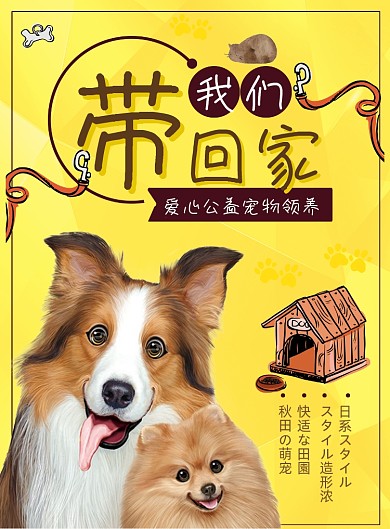 宠物带我回家爱心领养海报