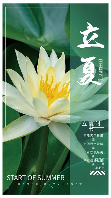 二十四节气立夏绿色简约海报