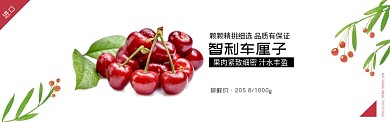 智利车厘子长线淘宝banner