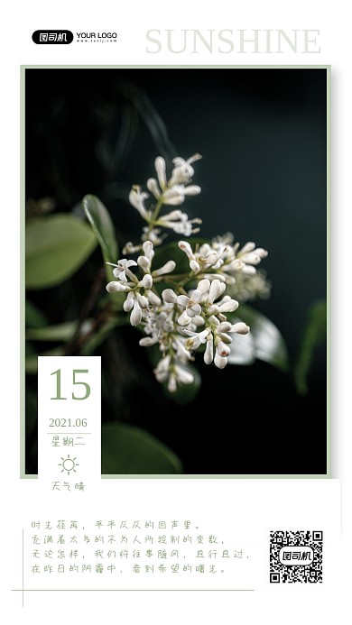 日签心灵鸡汤小清新手机海报