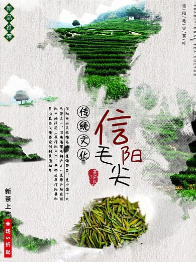 信阳毛尖茶宣传海报