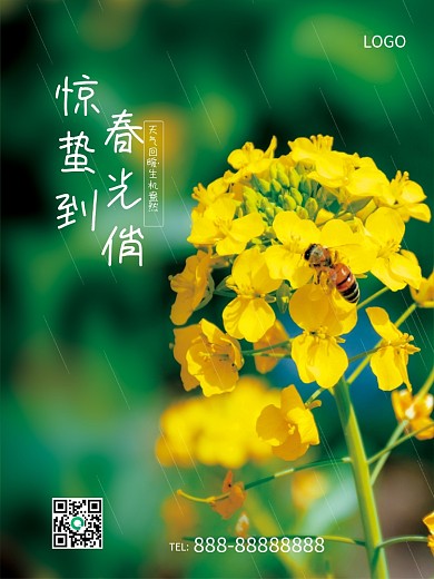 原创二十四节气惊蛰节气简约宣传海报