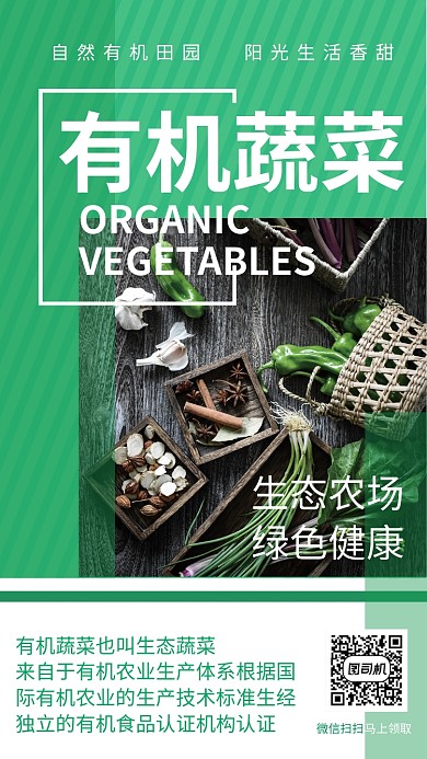 绿色有机蔬菜海报