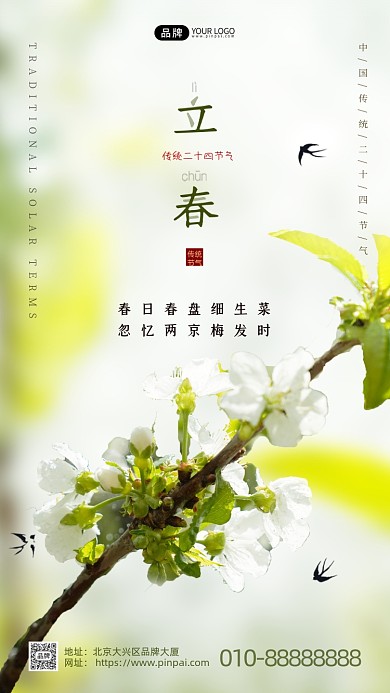 传统节气立春宣传摄影图海报
