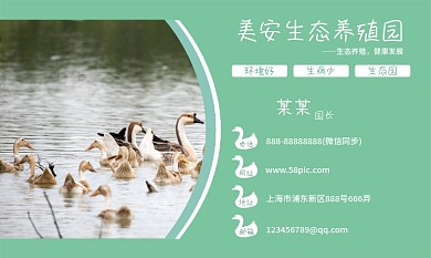 清新蓝绿生态养殖园简约养殖名片