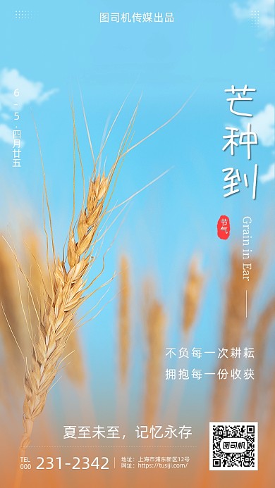 芒种时节清新简约手机海报