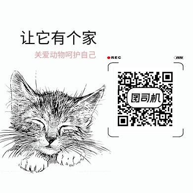 卡通可爱手绘小猫二维码