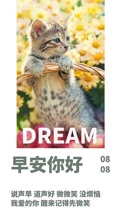 简约摄影小清新早安问候日签月签手机海报