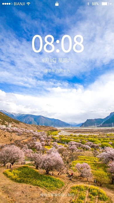 林芝桃花林手机壁纸