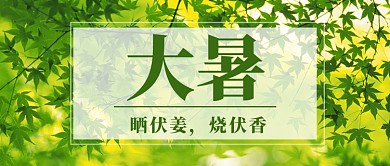 绿色大暑节日首图