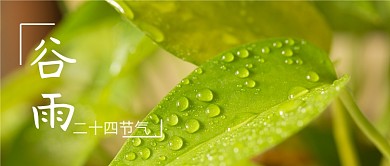 公众号封面谷雨节气照片