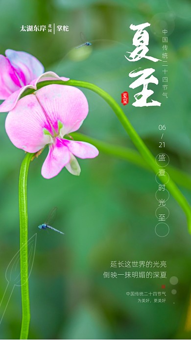 时尚简约夏至摄影海报