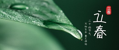 立春绿叶水滴绿色摄影风公众号首图