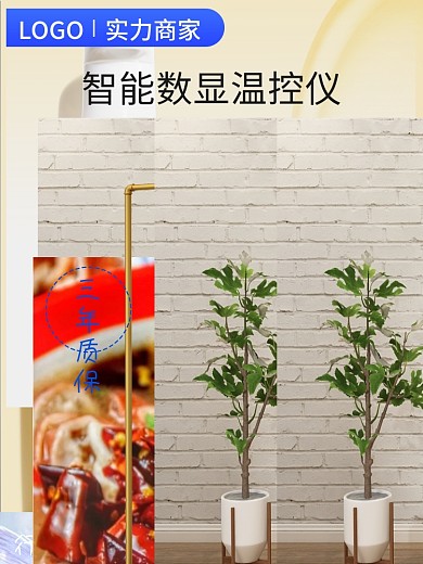 智能数32年经验显温控仪主图